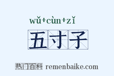 五寸子是什么意思的图片